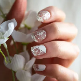 Blossom