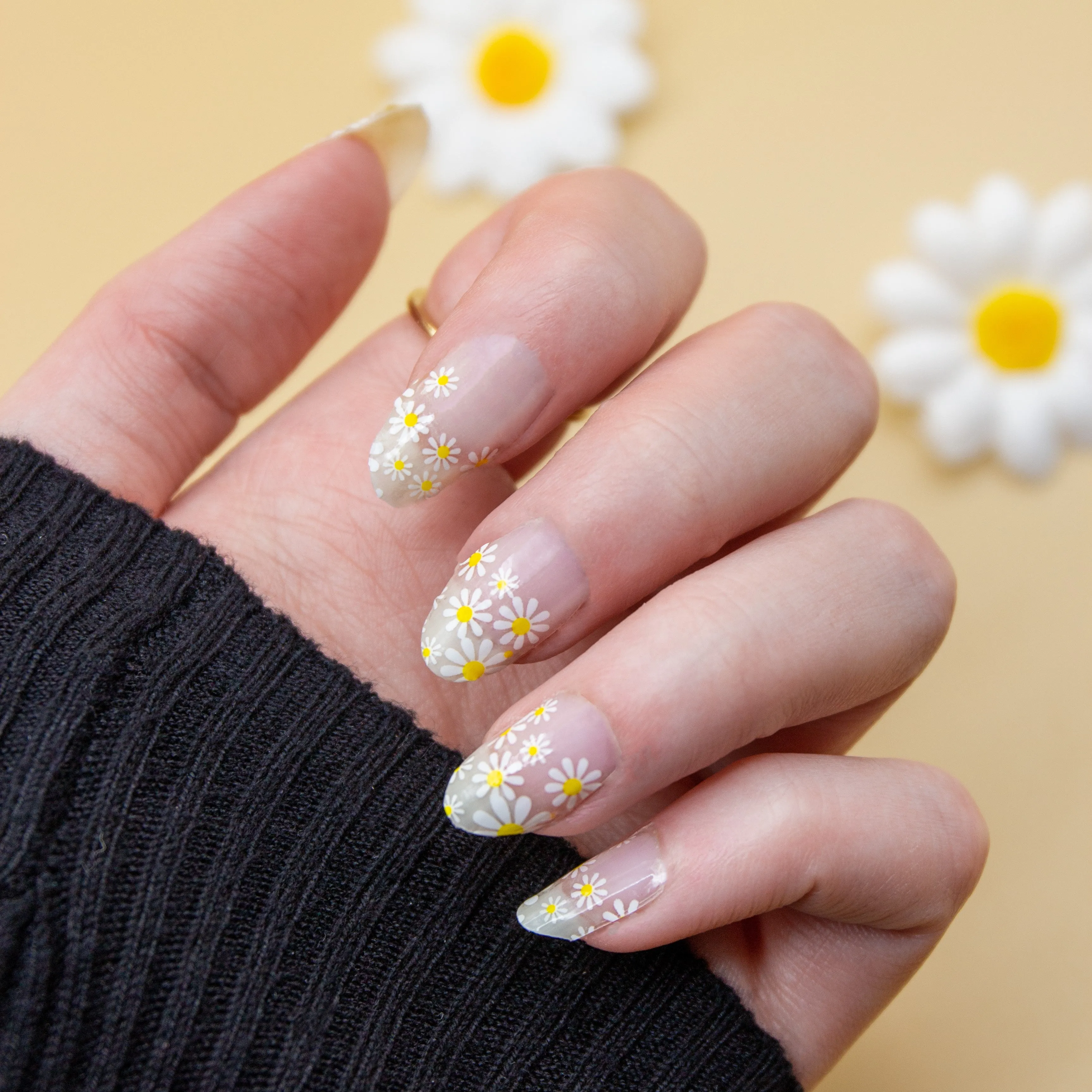 Daisy