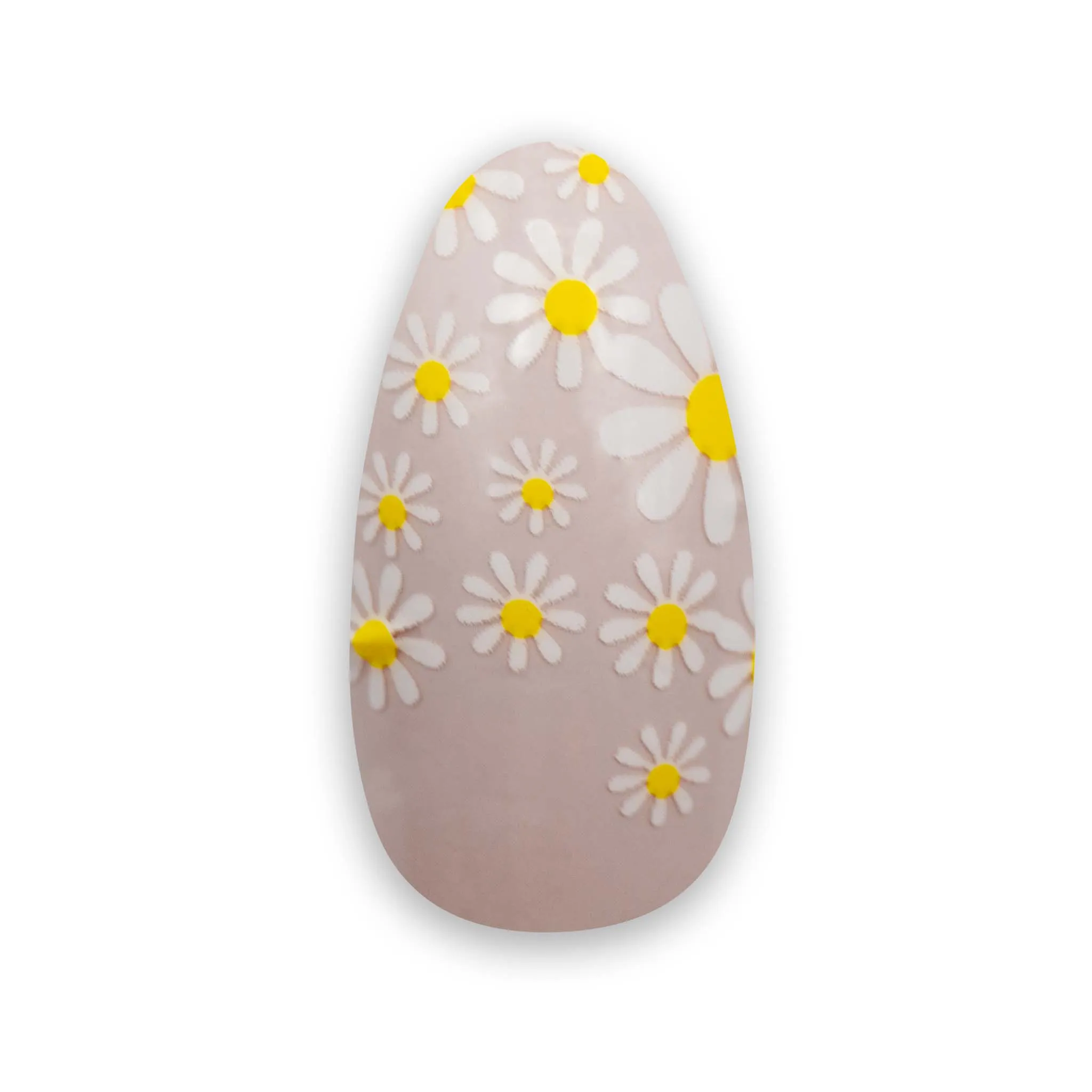 Daisy