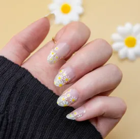 Daisy