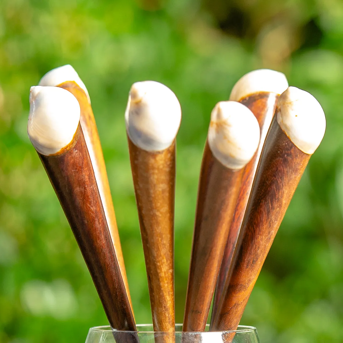 Round Shell Wooden Hair Stick