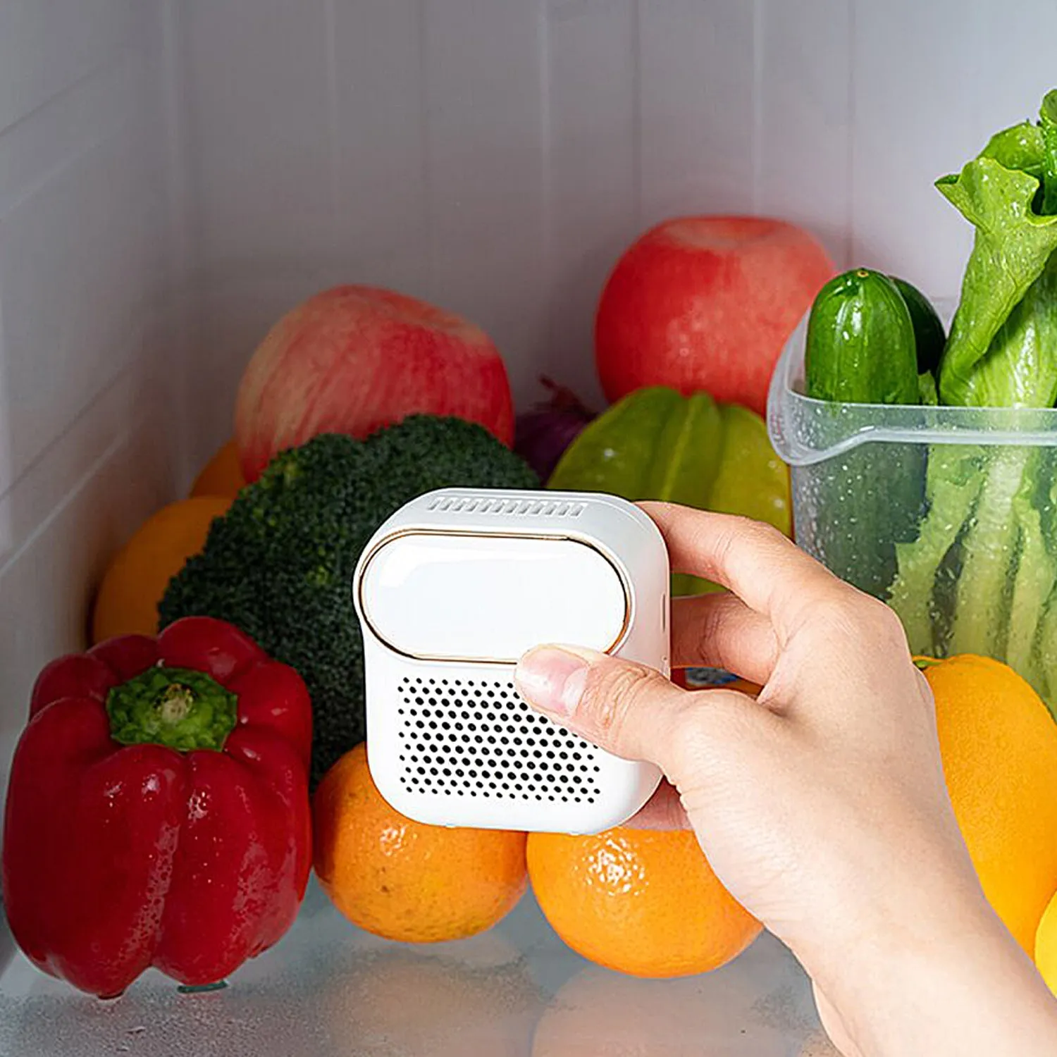 Sterilizer and Deodorizer for Refrigerator